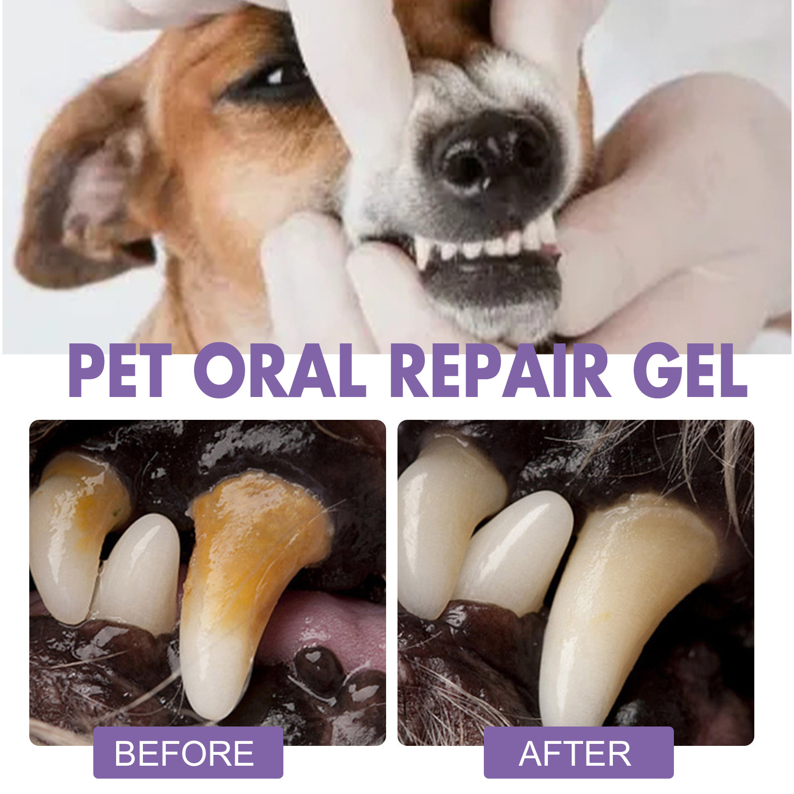 สัตว์เลี้ยง Oral Repair GEL Pu - Teeth Whitening Ulta บทวิจารณ์และราคา